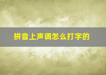 拼音上声调怎么打字的