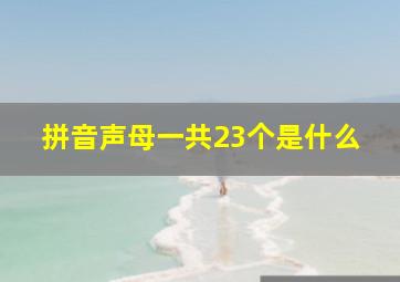 拼音声母一共23个是什么