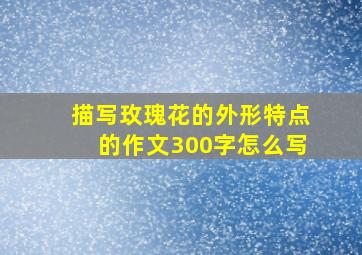 描写玫瑰花的外形特点的作文300字怎么写