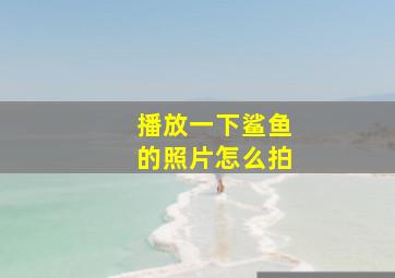 播放一下鲨鱼的照片怎么拍