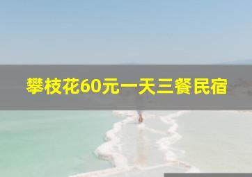 攀枝花60元一天三餐民宿