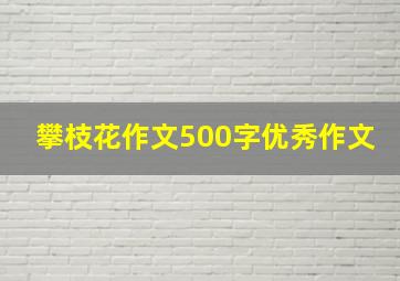 攀枝花作文500字优秀作文