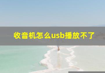 收音机怎么usb播放不了