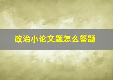 政治小论文题怎么答题