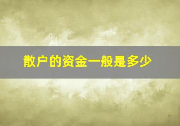 散户的资金一般是多少