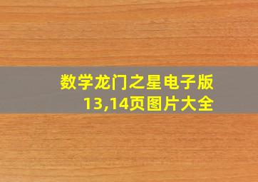 数学龙门之星电子版13,14页图片大全