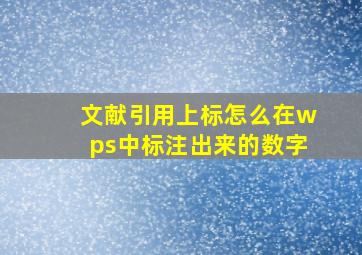 文献引用上标怎么在wps中标注出来的数字