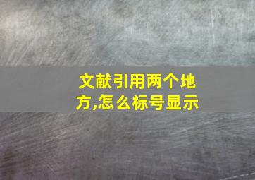 文献引用两个地方,怎么标号显示