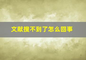 文献搜不到了怎么回事