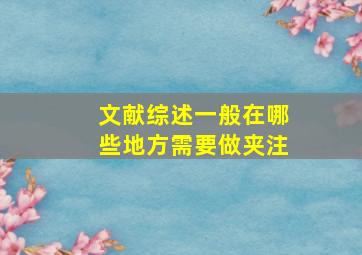 文献综述一般在哪些地方需要做夹注