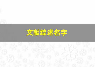 文献综述名字