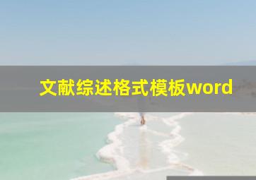 文献综述格式模板word