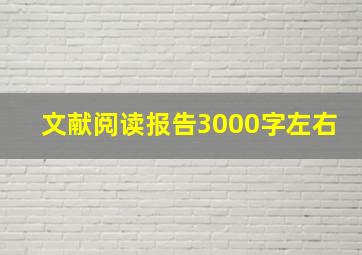 文献阅读报告3000字左右