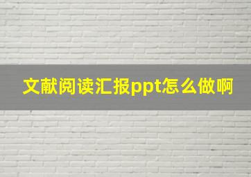 文献阅读汇报ppt怎么做啊