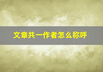 文章共一作者怎么称呼