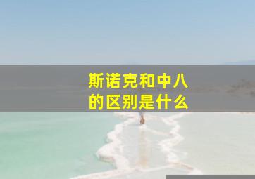 斯诺克和中八的区别是什么