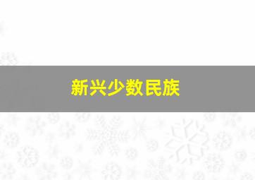 新兴少数民族