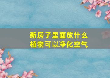 新房子里面放什么植物可以净化空气