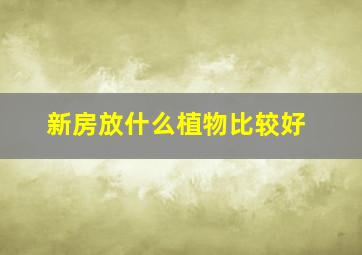 新房放什么植物比较好