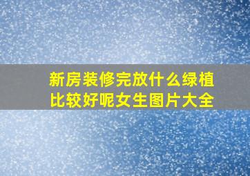 新房装修完放什么绿植比较好呢女生图片大全