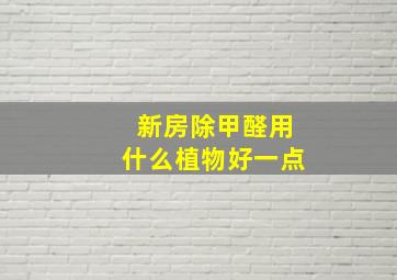 新房除甲醛用什么植物好一点