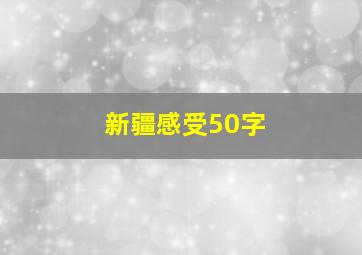 新疆感受50字