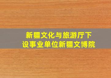 新疆文化与旅游厅下设事业单位新疆文博院