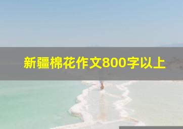 新疆棉花作文800字以上