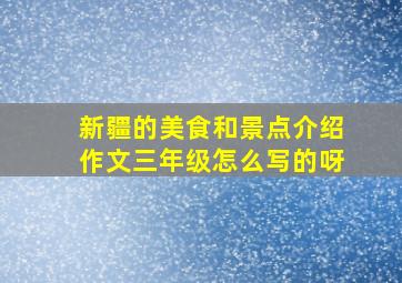 新疆的美食和景点介绍作文三年级怎么写的呀