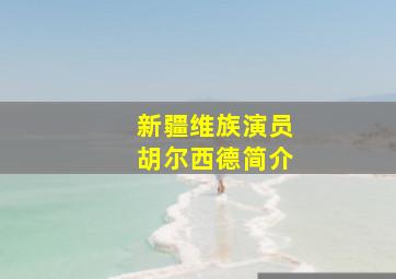 新疆维族演员胡尔西德简介