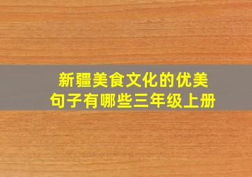 新疆美食文化的优美句子有哪些三年级上册