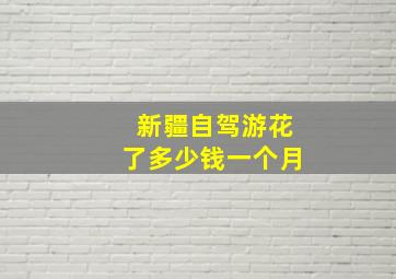 新疆自驾游花了多少钱一个月