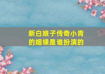 新白娘子传奇小青的姻缘是谁扮演的