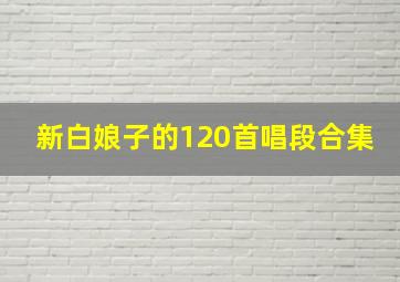 新白娘子的120首唱段合集