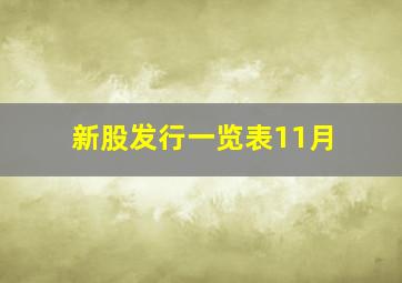 新股发行一览表11月