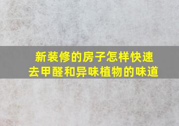 新装修的房子怎样快速去甲醛和异味植物的味道