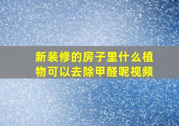 新装修的房子里什么植物可以去除甲醛呢视频