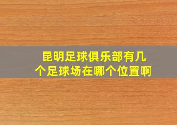 昆明足球俱乐部有几个足球场在哪个位置啊