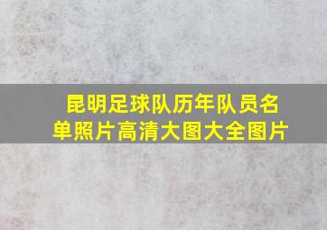 昆明足球队历年队员名单照片高清大图大全图片