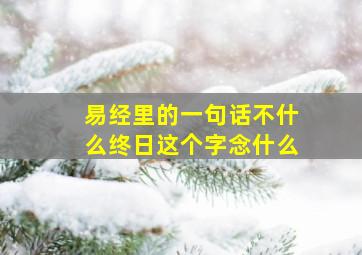 易经里的一句话不什么终日这个字念什么