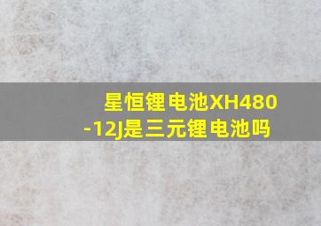 星恒锂电池XH480-12J是三元锂电池吗