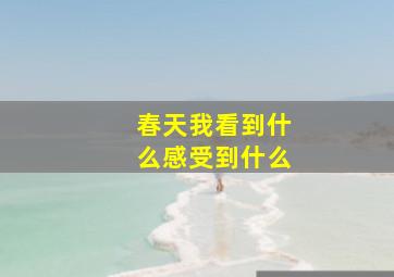 春天我看到什么感受到什么