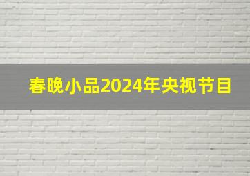 春晚小品2024年央视节目