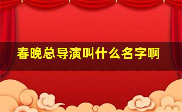 春晚总导演叫什么名字啊