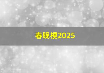 春晚梗2025