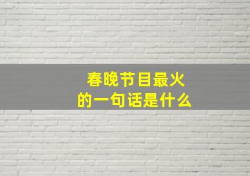 春晚节目最火的一句话是什么