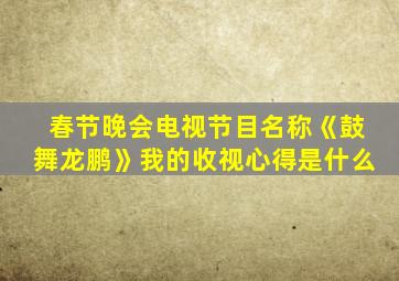 春节晚会电视节目名称《鼓舞龙鹏》我的收视心得是什么