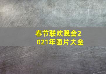 春节联欢晚会2021年图片大全