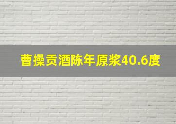 曹操贡酒陈年原浆40.6度