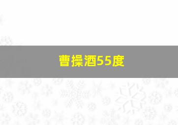 曹操酒55度